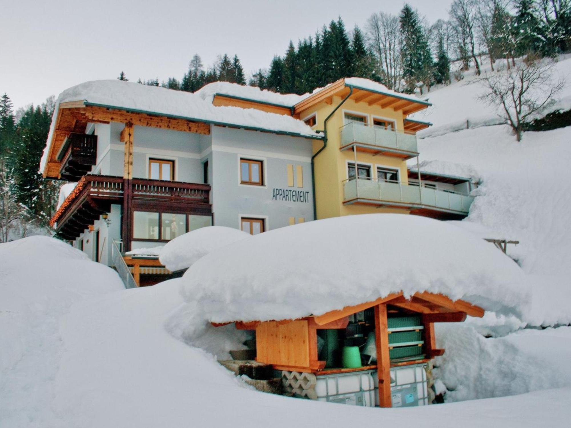 Beautiful Apartment In Zell Am See Near Ski Area Buitenkant foto
